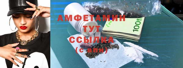 меф Ельня
