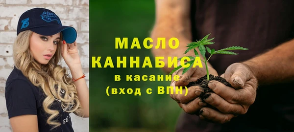 меф Ельня