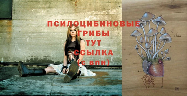 2c-b Елизово