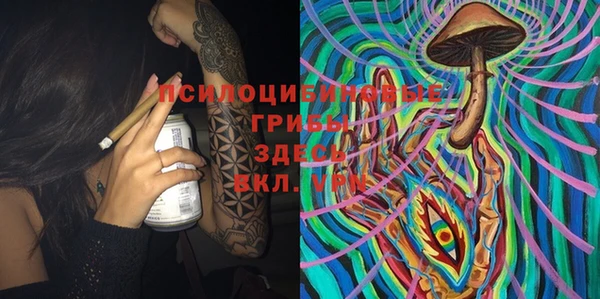 хмурый Елабуга