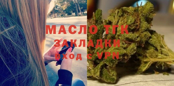 меф Ельня