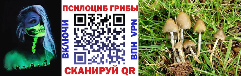 Купить  Мичуринск  Галлюциногенные грибы ЛСД 